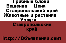 Грибные блоки “Вешенка“ › Цена ­ 90 - Ставропольский край Животные и растения » Услуги   . Ставропольский край